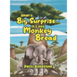 Amari's Big Surprise... It's not Monkey Bread - Hardcover