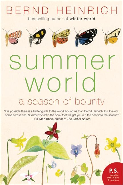 Summer World - Paperback