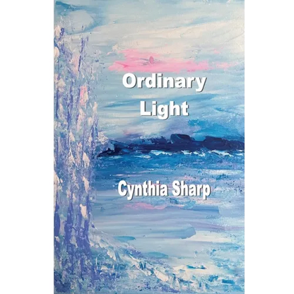 Ordinary Light - Paperback