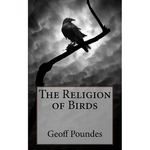 The Religion of Birds - Paperback