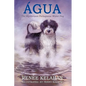 Agua, the Mysterious Portuguese Water Dog - Paperback