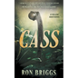Cass: A Norse Warrior Exploration Series - Paperback