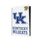 Kentucky Wildcats PS5 VarsityWrapz