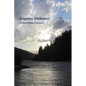 Express Delivery - Paperback