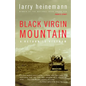 Black Virgin Mountain: A Return to Vietnam - Paperback