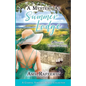 A Mystery At Summer Lodge: Complete Series Collection - Paperback