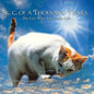 K.C. of a Thousand Trails: The Cat Who Saved My Life - Paperback
