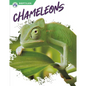 Chameleons - Library Binding