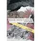 Because I Wanted to Write You a Pop Song: Stories - Paperback