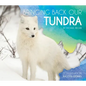 Bringing Back Our Tundra - Library Binding