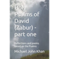 Holy Psalms of David (Zabur) - part one: Reflections and poems based on the Psalms - Paperback