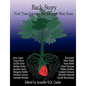 Back-Story: First Time Tales by the Stranger Next Door - Paperback