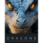 The Truth About Dragons: The Ultimate Illustrated Art Guide for Fantasy Lovers - Paperback