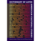 Dictionary of Latin American Cultural Studies - Paperback