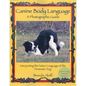 Canine Body Language: A Photographic Guide: Interpreting the Native Language of the Domestic Dog - Paperback