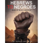 Hebrews to Negroes: Wake Up Black America! - Hardcover