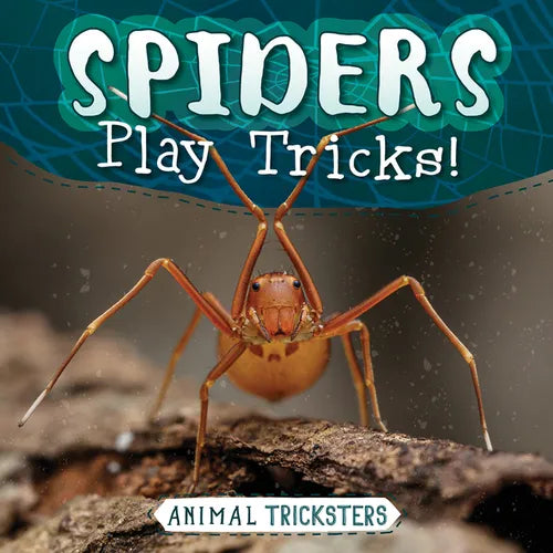Spiders Play Tricks! - Library Binding