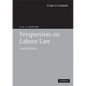 Perspectives on Labour Law - Paperback