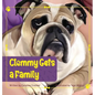 Clemmy Gets a Family - Hardcover