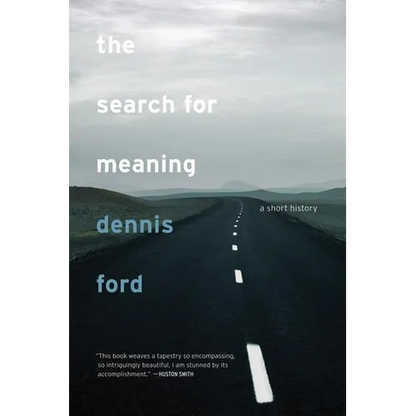 The Search for Meaning: A Short History - Paperback