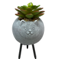 Faux 2 Tone Succulent In Planter - Cat