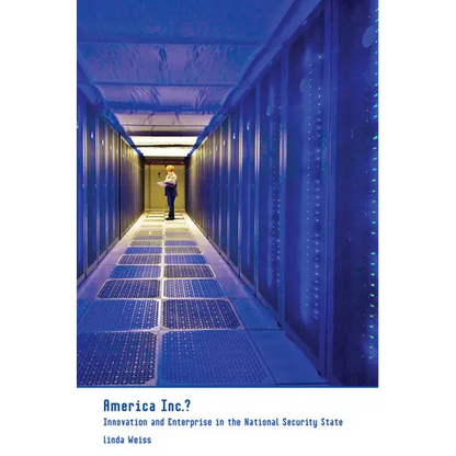 America Inc.?: Innovation and Enterprise in the National Security State - Paperback