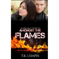 Amongst The Flames: A Christian Romance Novel - Paperback
