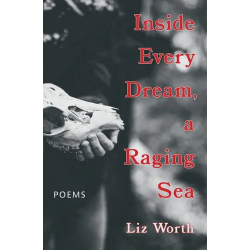 Inside Every Dream, a Raging Sea - Paperback