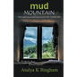 Mud Mountain - Five Years In A Mud House Lost In The Turkish Hills - Paperback