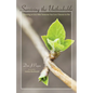 Surviving the Unthinkable: Choosing to Live After Someone You Love Chooses to Die - Hardcover