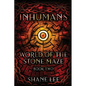 Inhumans: World of the Stone Maze, Book 2 - Paperback
