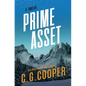 Prime Asset - Paperback