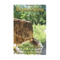 Beekeeping: Step-by-Step Guide For Beginner and Advanced Beekeepers: (Natural Beekeeping, Beekeeping Equipment, Beekeeping For Dummies) - Paperback