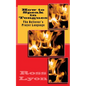 How to Speak in Tongues: The Believer's Prayer Language - Paperback
