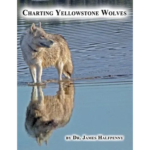 Charting Yellowstone Wolves - Paperback