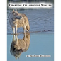 Charting Yellowstone Wolves - Paperback