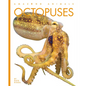Octopuses - Library Binding