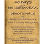 40 Days in the Wilderness Addiction Recovery Devotionals and Bible Studies - Paperback