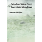 Celadon Skies Over Porcelain Meadows: A Ceramicist's Odyssey Through Form, Texture, and Translucence - Paperback