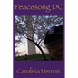 Peacesong DC: A Jewish Africana Academia Epic Tale of Washington City - Paperback