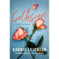 Collision - Paperback