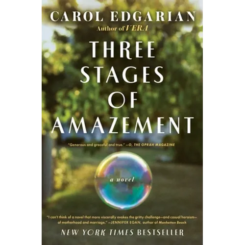 Three Stages of Amazement - Paperback