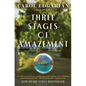 Three Stages of Amazement - Paperback