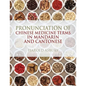 Pronunciation of Chinese Medicine Terms in Mandarin and Cantonese - Paperback
