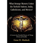 What Strange Mystery Unites the Turkish Nations, India, Catholicism, and Mexico?: A Concise But Detailed History of Things Divine and Earthly - Paperback