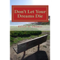 Don't Let Your Dreams Die: A Reflective Approach to Aggressively Pursuing Your Destiny - Paperback