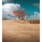 Impressions of Newfoundland: The Art of Ting Ting Chen - Paperback