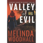 Valley of Evil: A Bridget Bishop FBI Mystery Thriller Book 6 - Paperback