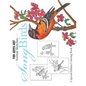 Song Birds: A Special Edition Coloring Book - Paperback