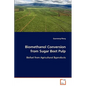 Biomethanol Conversion from Sugar Beet Pulp - Paperback